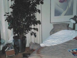 Die Stewardessen-Morde