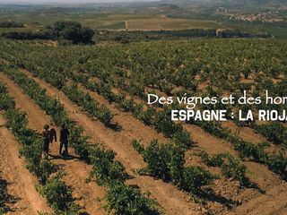 Die wunderbare Welt der Weine