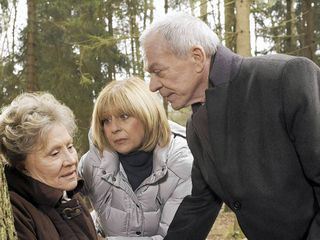 Sturm der Liebe