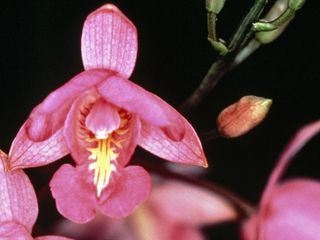 Wild World Wild World