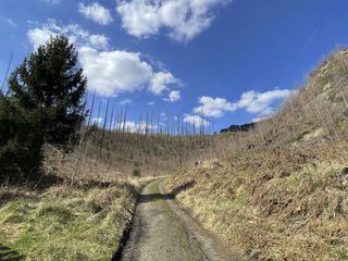 Re: Nationalparks - Brandherde und Naturparadiese?