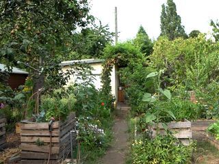 Von Hecke zu Hecke - Bunte Beetgeschichten