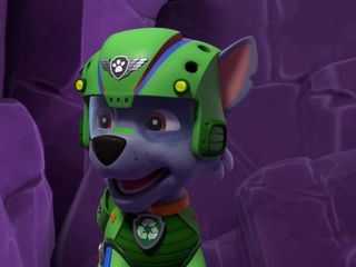 Paw Patrol: Helfer auf vier Pfoten