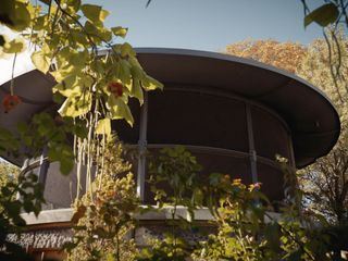 1000 Rosen - Der Luftbrunnen des Wiener Burgtheaters