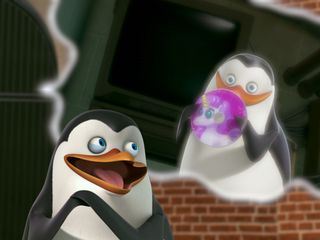 Die Pinguine aus Madagascar