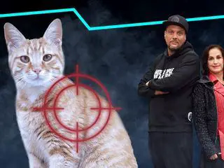 Verurteilt! Echte Kriminalfaelle im Gespraech