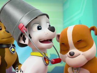 Paw Patrol - Helfer auf vier Pfoten