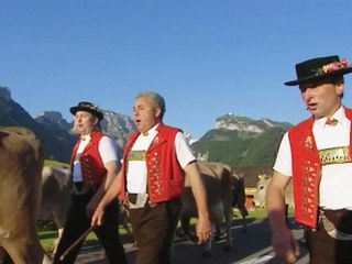 Klaenge der Welt
