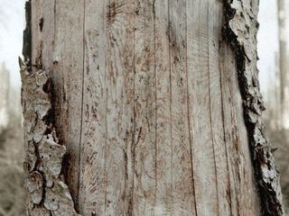 Les Rites de passage