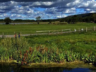 Draussen! Mit Uschi Disl durch Westschweden