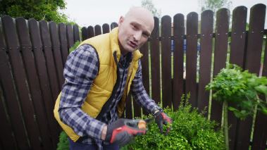 Die Garten-Retter: Polen