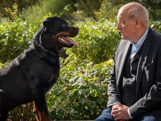 Wilsberg: Fette Beute