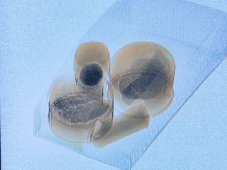 Schmugglern auf der Spur