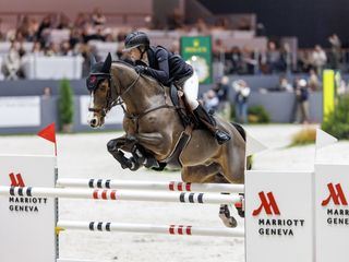 Springreiten: Global Champions Tour Cannes