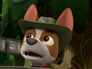 PAW Patrol - Helfer auf vier Pfoten