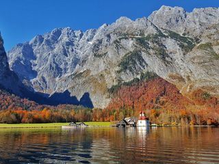Natur am Koenigssee