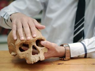 Homo sapiens. Vom wahren Ursprung des Menschen