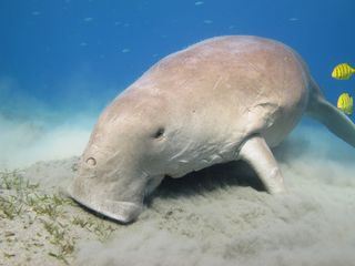 Abenteuer Philippinen