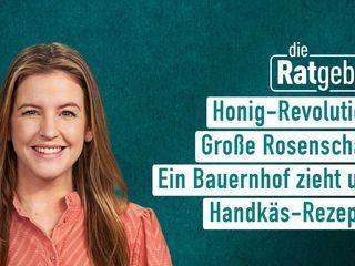 Die Ratgeber Die Ratgeber