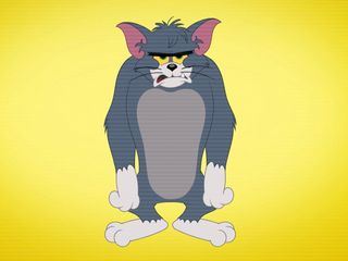 Die Tom und Jerry Show