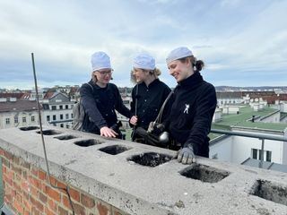 Hallo, was machst Du?