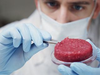 Welt ohne Fleisch? - Die Ernaehrung der Zukunft