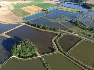Zauberhaftes Franken