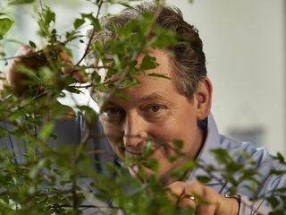 Wissen vor acht - Erde