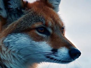 Segreti nel ghiaccio