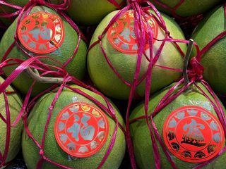 Die Welt der Zitrusfruechte