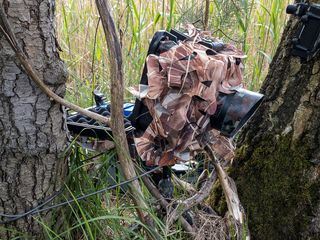 Die geheime Welt der Tiere