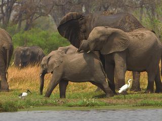 Stadt Land Kunst Spezial