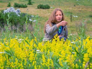 Raue Welten - Wilde Schoenheiten