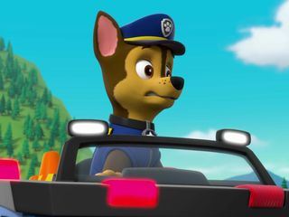Paw Patrol: Helfer auf vier Pfoten