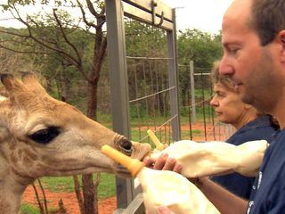 Das Waisenhaus fuer wilde Tiere