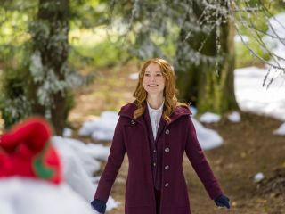 Unter dem Mistelzweig