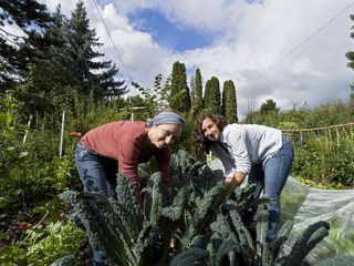Urban Farming - Gaertnern fuers Klima