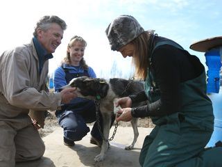 Die Yukon-Tieraerztin