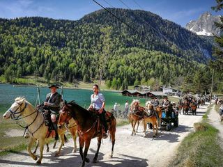 Verrueckt nach Camping