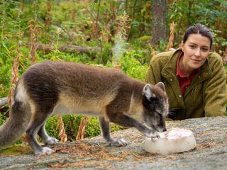Terra X: Faszination Erde - mit Hannah Emde
