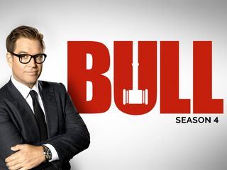 Bull Bull