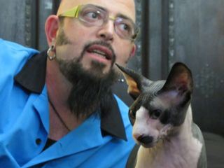 Der Katzenfluesterer