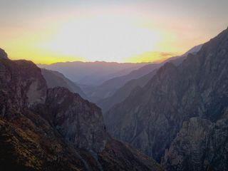 Oasen - Inseln des Lebens