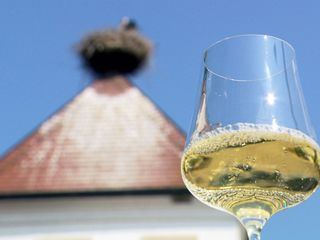 Österreich-Bild aus dem Landesstudio Burgenland