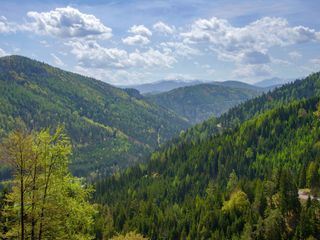 Aufgetischt am Sonntag