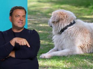 Die Unvermittelbaren - Mit Martin Ruetter