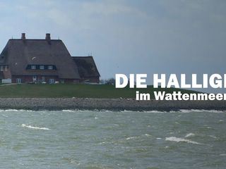 Die Halligen im Wattenmeer