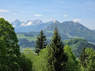 Zurueck zur Natur