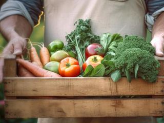 Die Geschichte der Landwirtschaft