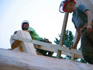 Timber Kings
